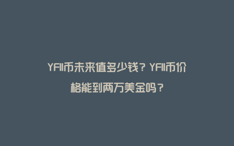 YFII币未来值多少钱？YFII币价格能到两万美金吗？