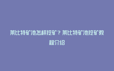 莱比特矿池怎样挖矿？莱比特矿池挖矿教程介绍