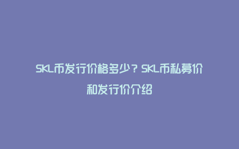 SKL币发行价格多少？SKL币私募价和发行价介绍