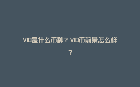 VID是什么币种？VID币前景怎么样？