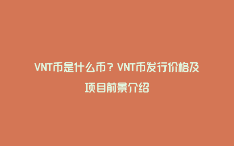 VNT币是什么币？VNT币发行价格及项目前景介绍