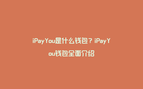 iPayYou是什么钱包？iPayYou钱包全面介绍