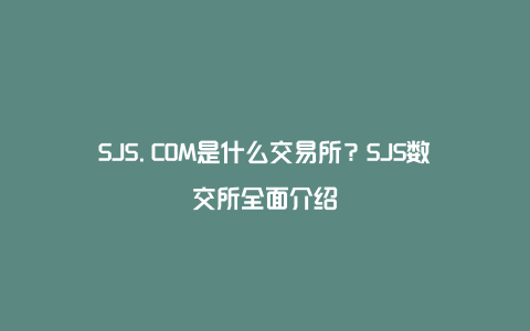 SJS.COM是什么交易所？SJS数交所全面介绍