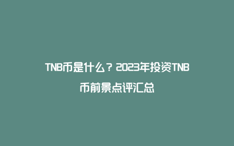 TNB币是什么？2023年投资TNB币前景点评汇总