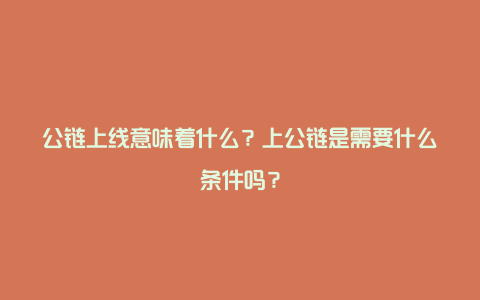 公链上线意味着什么？上公链是需要什么条件吗？