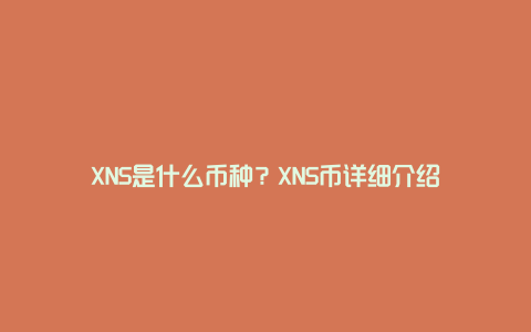 XNS是什么币种？XNS币详细介绍