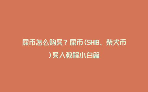 屎币怎么购买？屎币(SHIB、柴犬币)买入教程小白篇