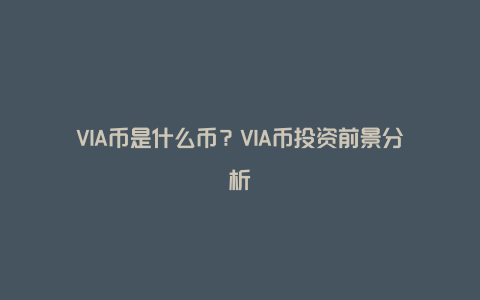 VIA币是什么币？VIA币投资前景分析