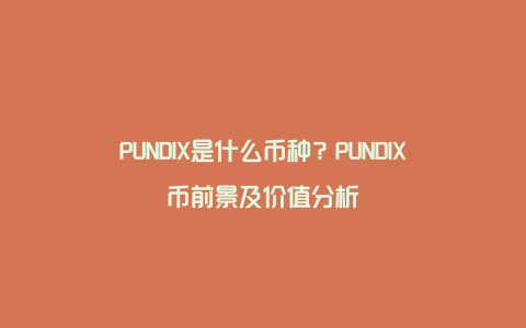 PUNDIX是什么币种？PUNDIX币前景及价值分析