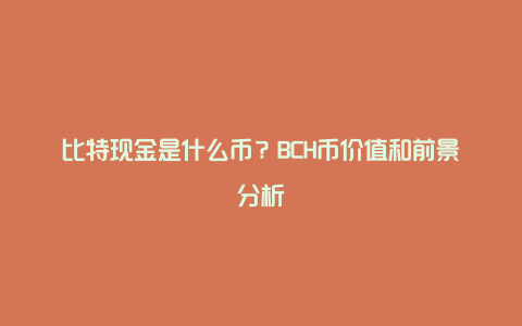 比特现金是什么币？BCH币价值和前景分析