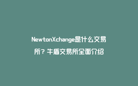 NewtonXchange是什么交易所？牛盾交易所全面介绍