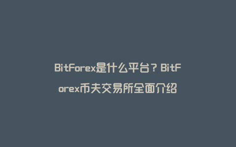 BitForex是什么平台？BitForex币夫交易所全面介绍