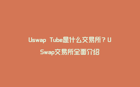 Uswap Tube是什么交易所？USwap交易所全面介绍