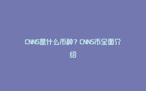 CNNS是什么币种？CNNS币全面介绍