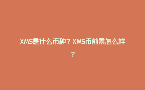 XMS是什么币种？XMS币前景怎么样？