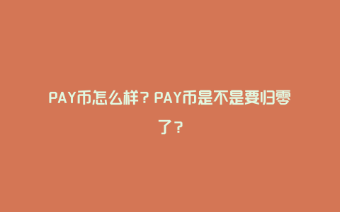 PAY币怎么样？PAY币是不是要归零了？