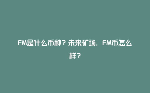 FM是什么币种？未来矿场，FM币怎么样？