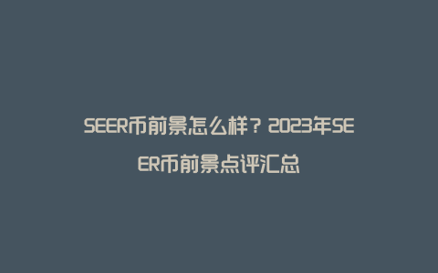 SEER币前景怎么样？2023年SEER币前景点评汇总