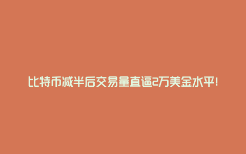 比特币减半后交易量直逼2万美金水平！