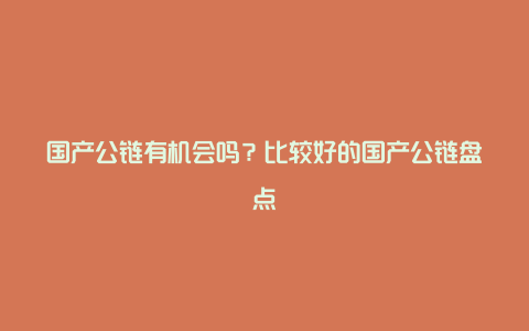 国产公链有机会吗？比较好的国产公链盘点