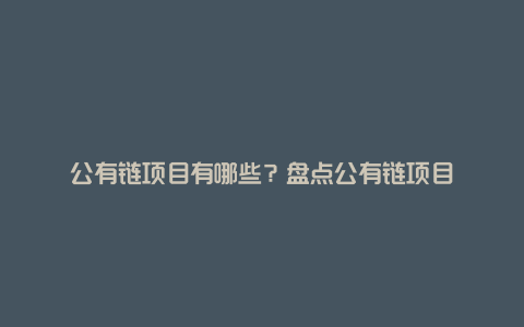 公有链项目有哪些？盘点公有链项目