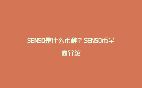 SENSO是什么币种？SENSO币全面介绍