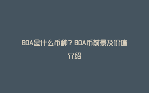 BOA是什么币种？BOA币前景及价值介绍