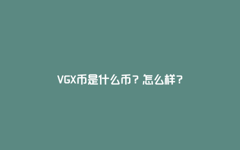 VGX币是什么币？怎么样？