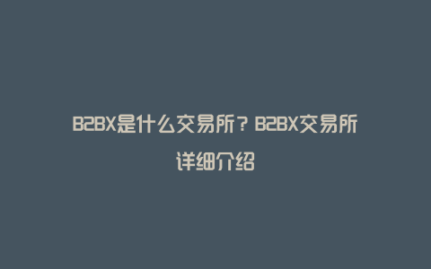 B2BX是什么交易所？B2BX交易所详细介绍