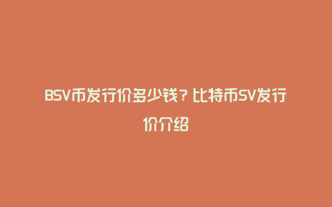 BSV币发行价多少钱？比特币SV发行价介绍