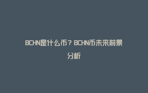 BCHN是什么币？BCHN币未来前景分析