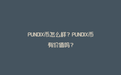 PUNDIX币怎么样？PUNDIX币有价值吗？