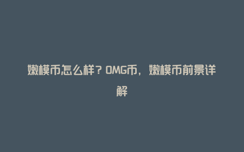 嫩模币怎么样？OMG币，嫩模币前景详解