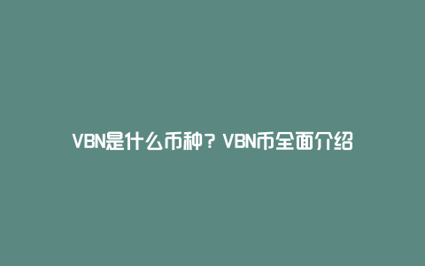 VBN是什么币种？VBN币全面介绍