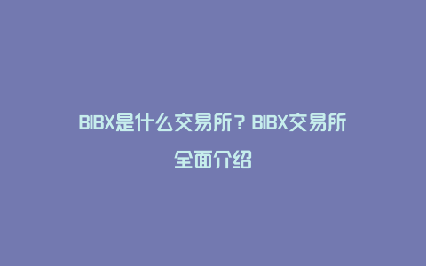 BIBX是什么交易所？BIBX交易所全面介绍