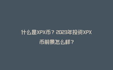 什么是XPX币？2023年投资XPX币前景怎么样？