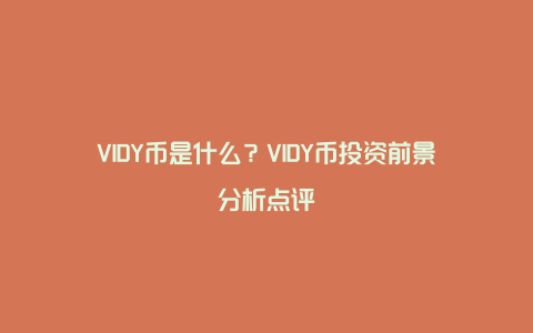 VIDY币是什么？VIDY币投资前景分析点评