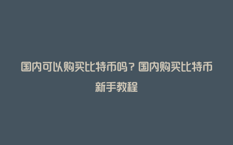 国内可以购买比特币吗？国内购买比特币新手教程