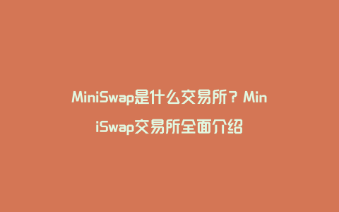 MiniSwap是什么交易所？MiniSwap交易所全面介绍