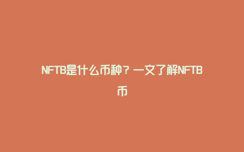 NFTB是什么币种？一文了解NFTB币