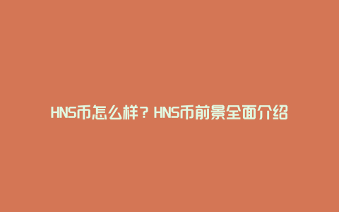 HNS币怎么样？HNS币前景全面介绍