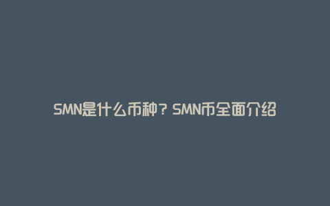 SMN是什么币种？SMN币全面介绍