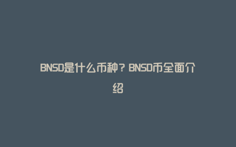 BNSD是什么币种？BNSD币全面介绍