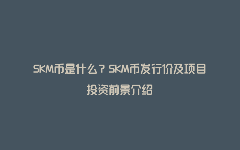 SKM币是什么？SKM币发行价及项目投资前景介绍