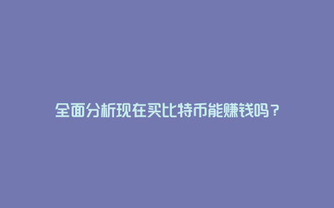 全面分析现在买比特币能赚钱吗？