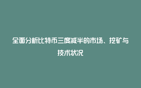 全面分析比特币三度减半的市场、挖矿与技术状况