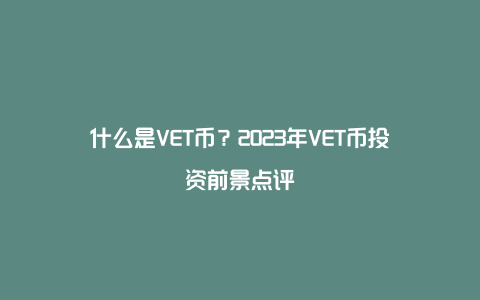 什么是VET币？2023年VET币投资前景点评