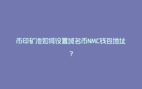 币印矿池如何设置域名币NMC钱包地址？