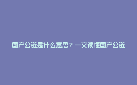 国产公链是什么意思？一文读懂国产公链