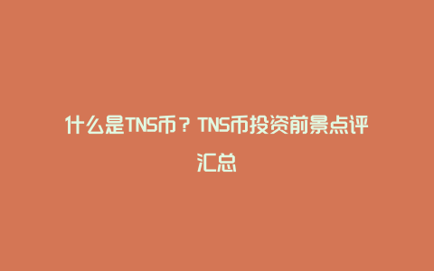 什么是TNS币？TNS币投资前景点评汇总